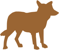 Coyote vectorized