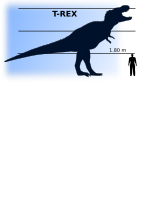 T-Rex vs man