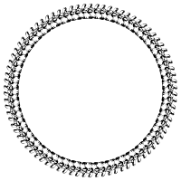 Vertebrae Frame