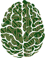 Machine Learning Brain