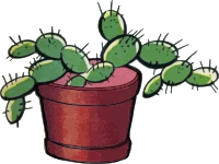 Cactus 3
