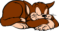 Sleeping cat (colour)