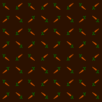 carrot patern