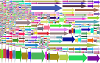 Random Arrows Background Prismatic