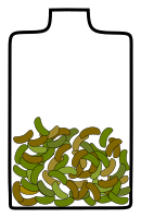 jar with beans