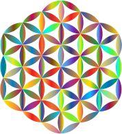 Prismatic Flower Of Life