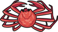 Snow Crab