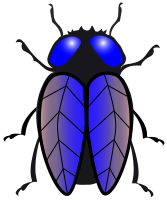 housefly