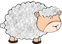 Funny sheep