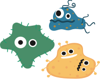 Bacteria