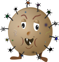 Germ 4c