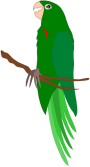 Maritaca