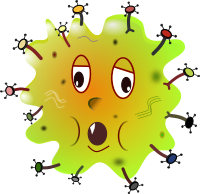 Germ 3c