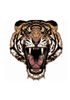 Tattoo design tiger