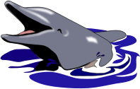 dolphin