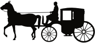 Man Driving Carriage
