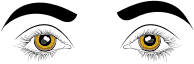 Eyes Illustration