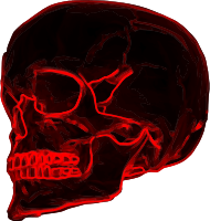 Skull 19