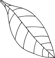 Plain single leaf
