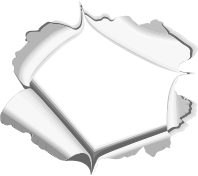 torn page frame