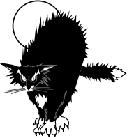 black cat