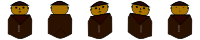 Professor