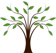 Whispy Tree