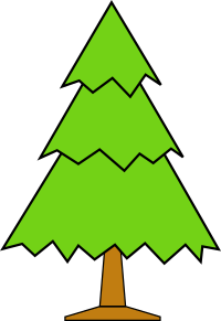 sapin-02