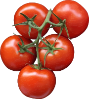 Tomatoes