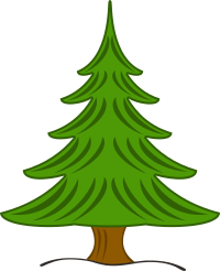 sapin-03
