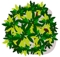 tree-08A