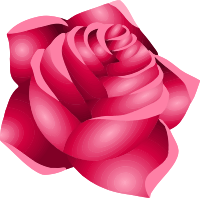 Rose 22 (red)