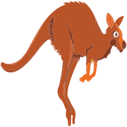 Cartoon Kangaroo