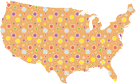Cute Floral America