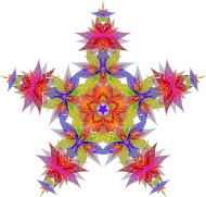 Abstract Flowers Star