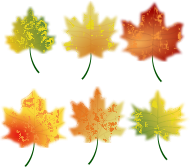 Leaves