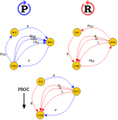 rpmgraph abstract PROC