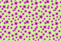 Floral pattern 7