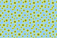 Floral pattern 7 (colour 2)