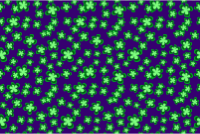 Floral pattern 7 (colour 5)