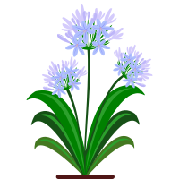flower 33
