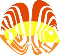 flugi lugi fish