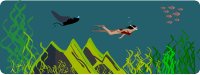 snorkeling