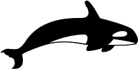 the orca