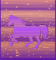 Pink Pony