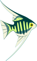 a tropical fish