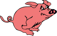 Running pig