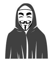 Anonymous Hacker