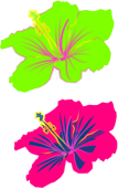 Vivid