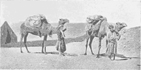 Ships of the Desert